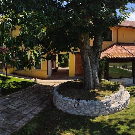 Вілла Agriturismo Roseto Серра-Сан-Бруно Екстер'єр фото